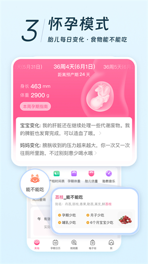 美柚最新版本3