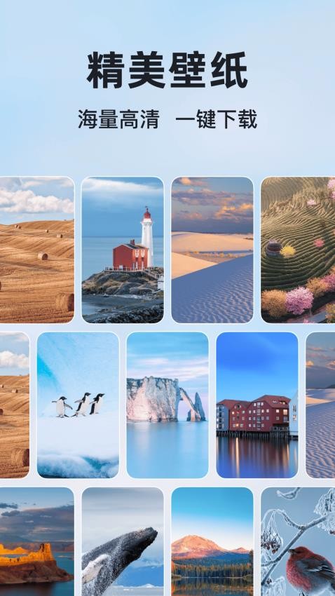 微软必应搜索引擎手机版(Microsoft Bing)4