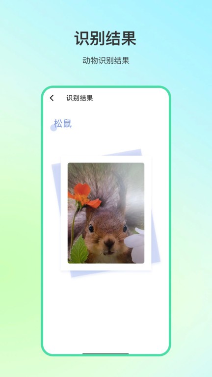 动物百科1