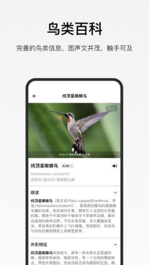 懂鸟官网版1