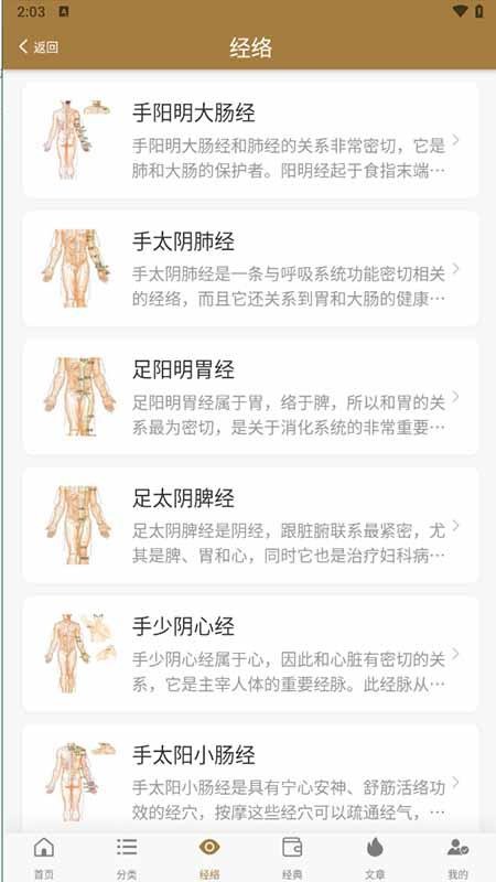 穴位图谱大全官方版2