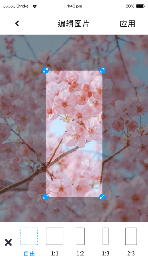 P图照片处理app0