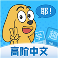适趣高阶中文