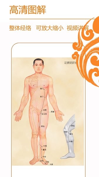 经络养生官方版0