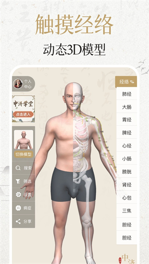 中济经络穴位3