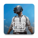 PUBG国际服(PUBG MOBILE)