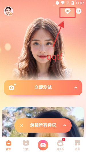 灵魂宠物免费版