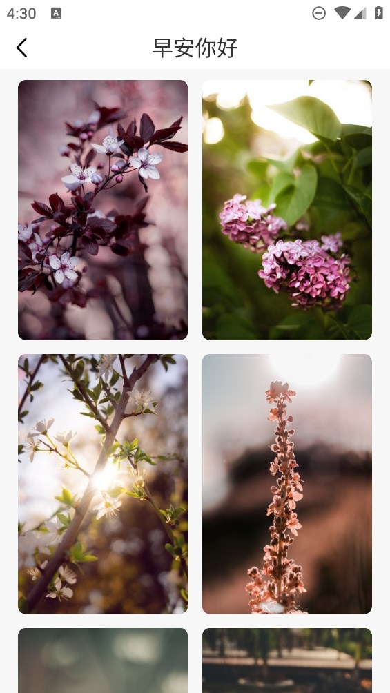 海报模板制作app官方版1