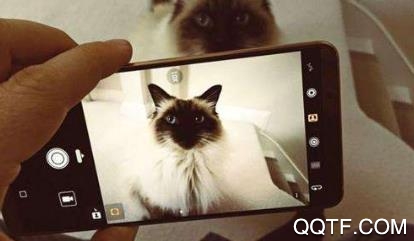 随手拍照识物app最新版