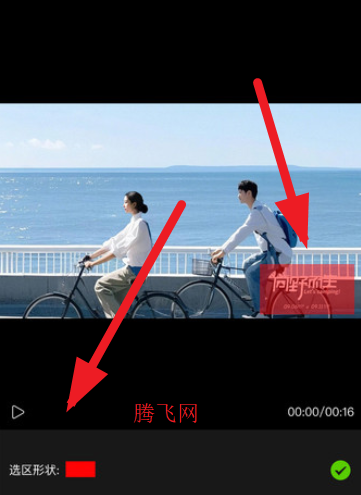 金刚去水印官方版