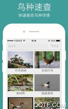 随手拍照识物app最新版