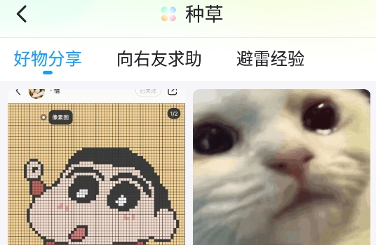 最右app官方版 最右app官方版