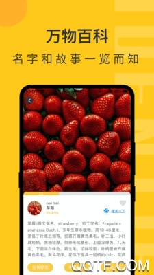 随手拍照识物在线识别最新版2