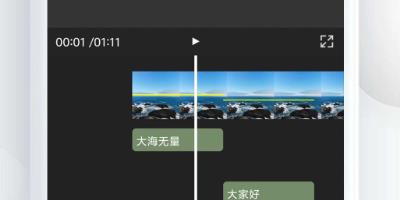 视频加字幕大师app最新版