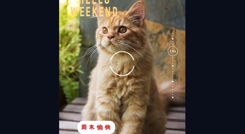 口型相机app安卓版