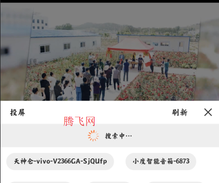 白天鹅免费追剧app 白天鹅免费追剧app