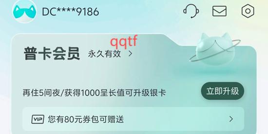 东呈青猫会app官方版