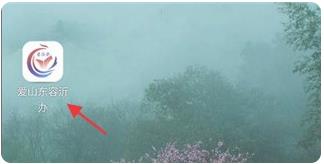 爱山东容沂办新生报名平台最新版