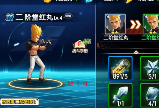 拳魂觉醒每日送648