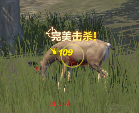 疯狂神射手打猎游戏手机版