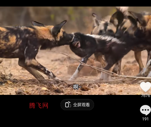 抖音精选APP官方版(原青桃视频)