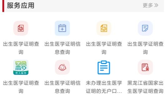 国家政务服务平台出生证明查询app 国家政务服务平台出生证明查询app