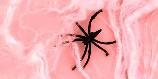 粉色美学壁纸app最新版(pink aesthetic H)