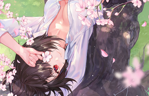 海纳随图app手机版