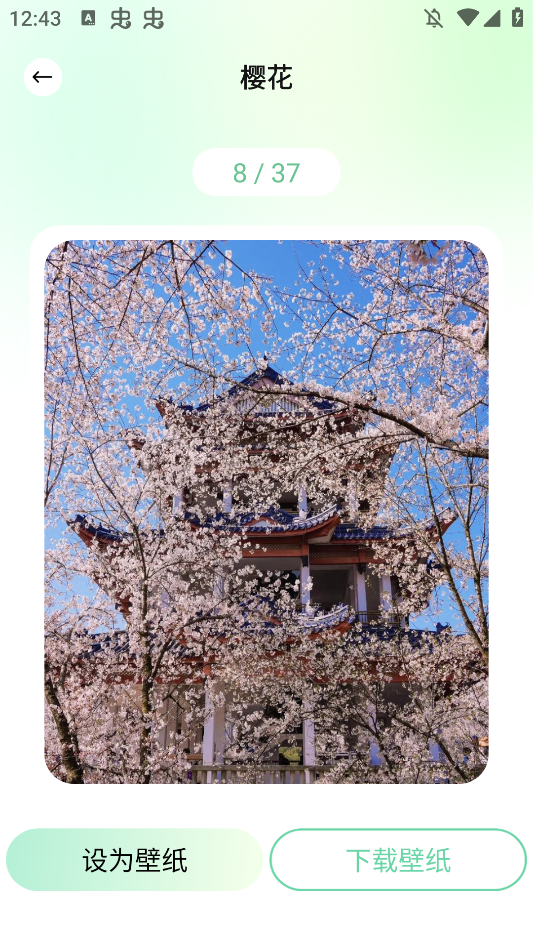 荷花壁纸高清图片唯美手机壁纸app4