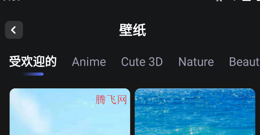 wallfancy壁纸app手机版