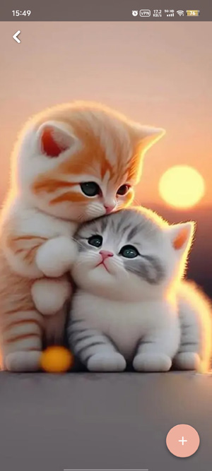 猫咪壁纸4K最新版