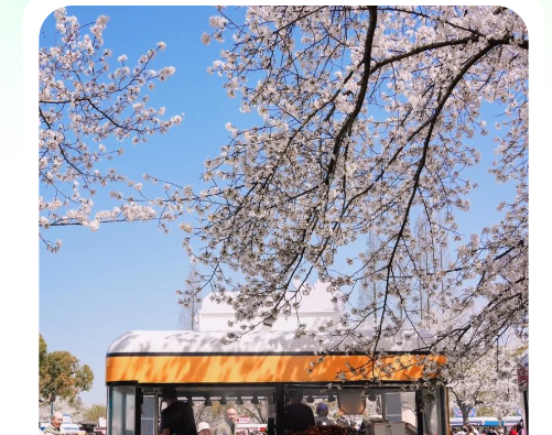 荷花壁纸高清图片唯美手机壁纸app