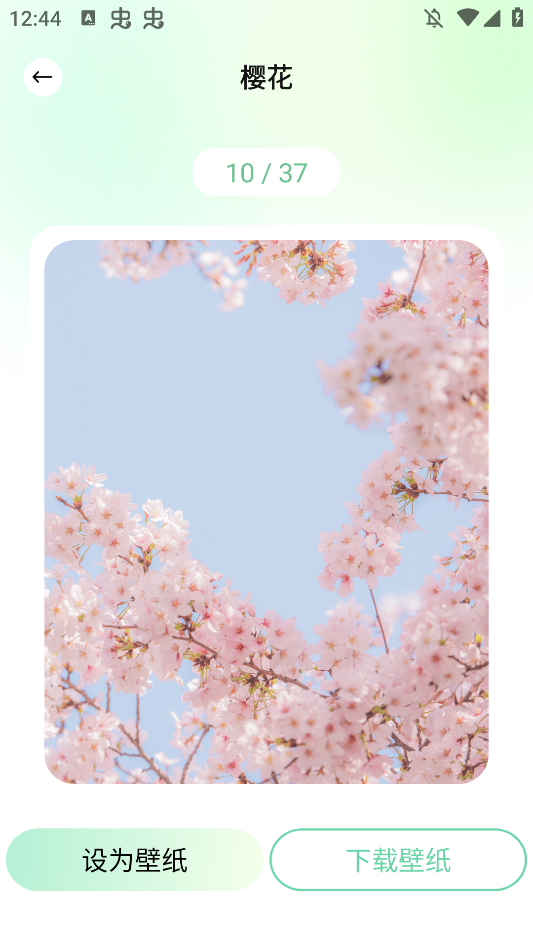 荷花壁纸高清图片唯美手机壁纸app2