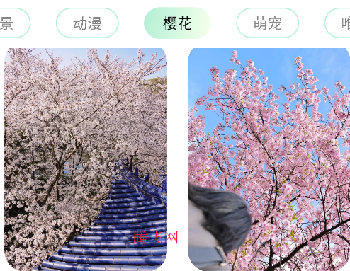 荷花壁纸高清图片唯美手机壁纸app