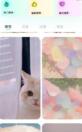桃子壁纸手机壁纸高清app