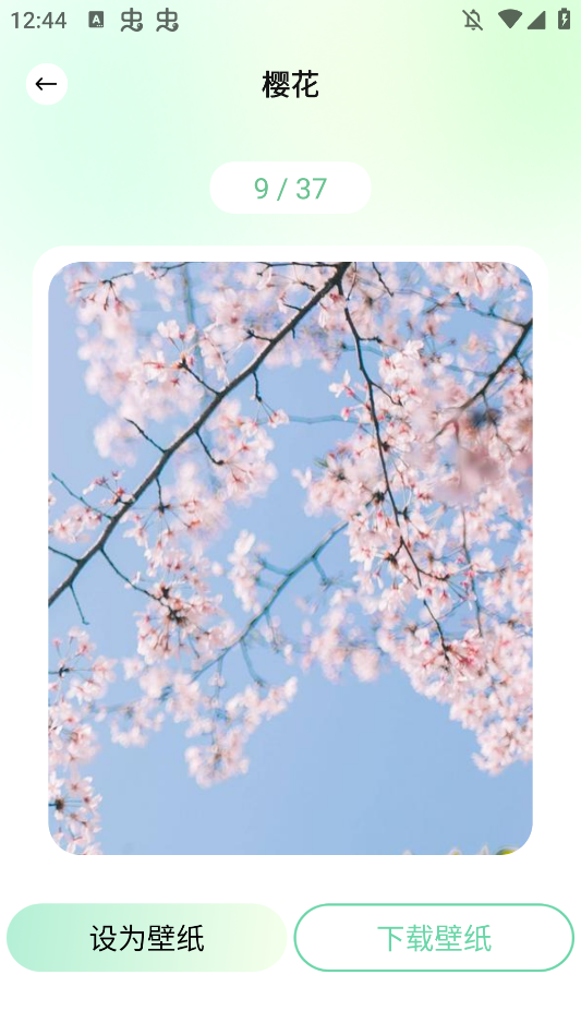 荷花壁纸高清图片唯美手机壁纸app1