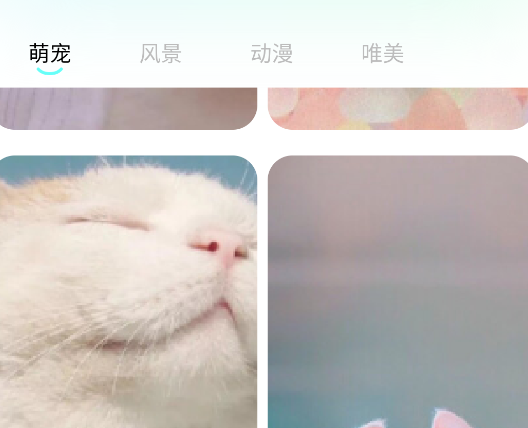 桃子壁纸手机壁纸高清app