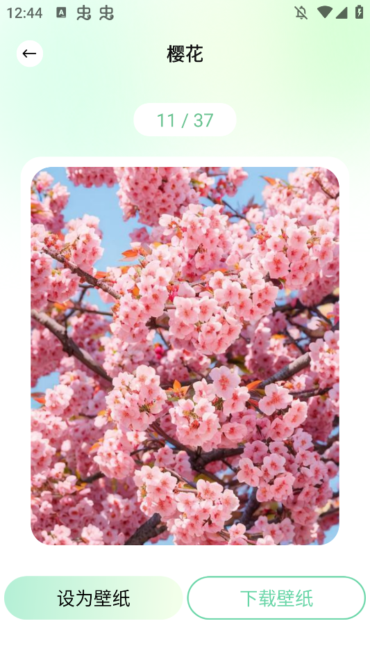 荷花壁纸高清图片唯美手机壁纸app3