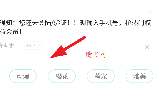 荷花壁纸高清图片唯美手机壁纸app