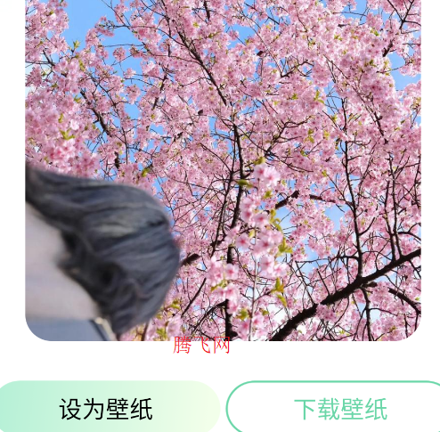 荷花壁纸高清图片唯美手机壁纸app