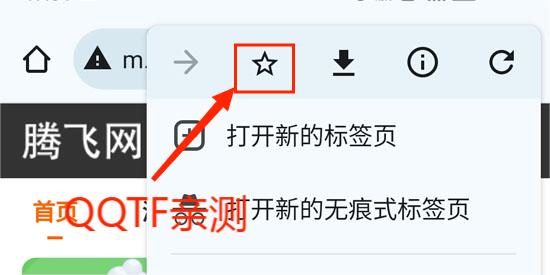 Chrome谷歌浏览器手机版2024 Chrome谷歌浏览器手机版2024