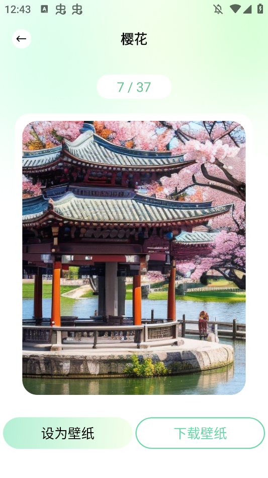 荷花壁纸高清图片唯美手机壁纸app0