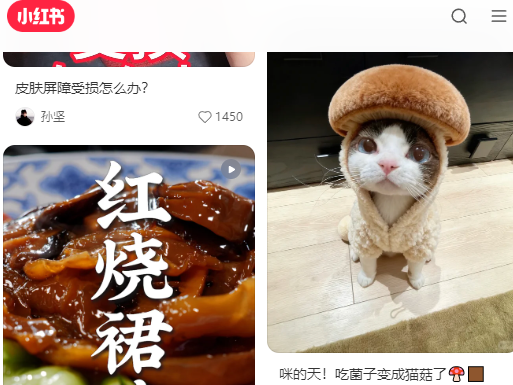 小红书app官方版