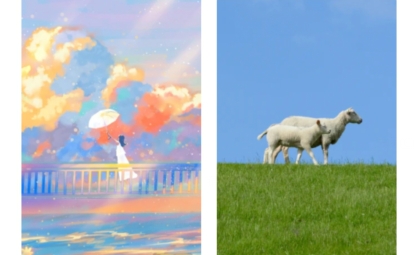 小米画报app最新版 小米画报app最新版