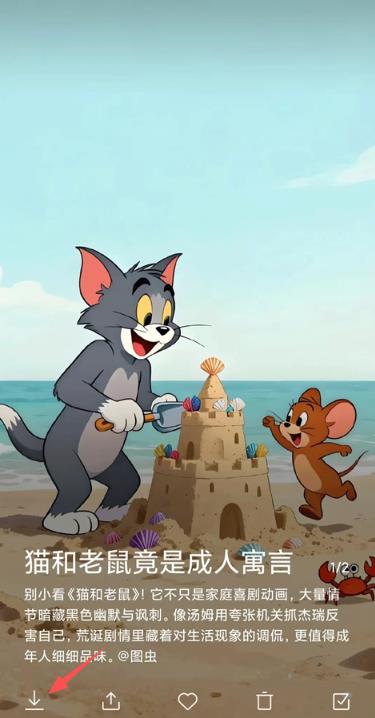 小米画报app最新版 小米画报app最新版