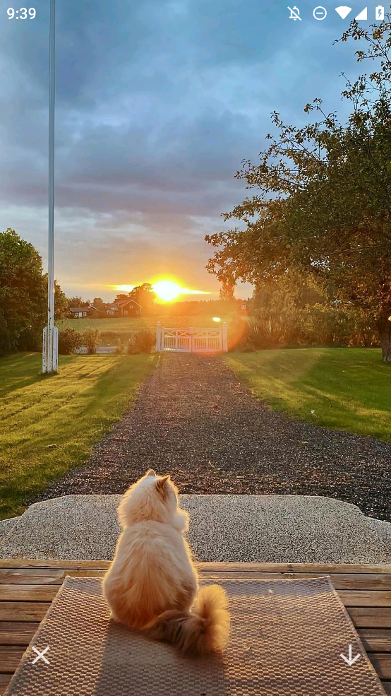 麦芬壁纸app手机版(出发吧麦芬)3