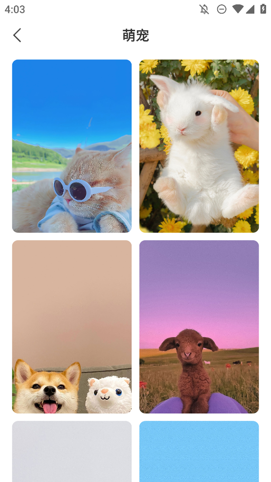 星汇壁纸app安卓版0