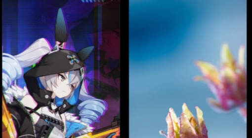 MIUI主题壁纸提取版 MIUI主题壁纸提取版