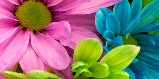 跃动壁纸app最新版