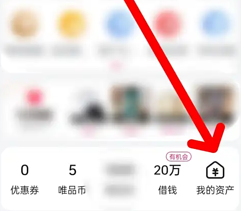 唯品会app官方版 唯品会app官方版
